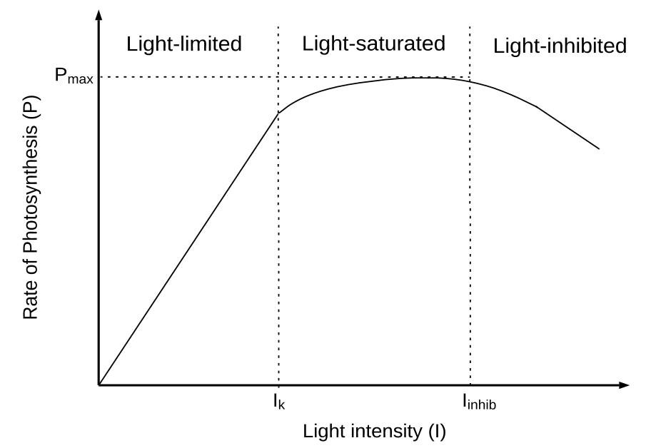P-I relationship diagram